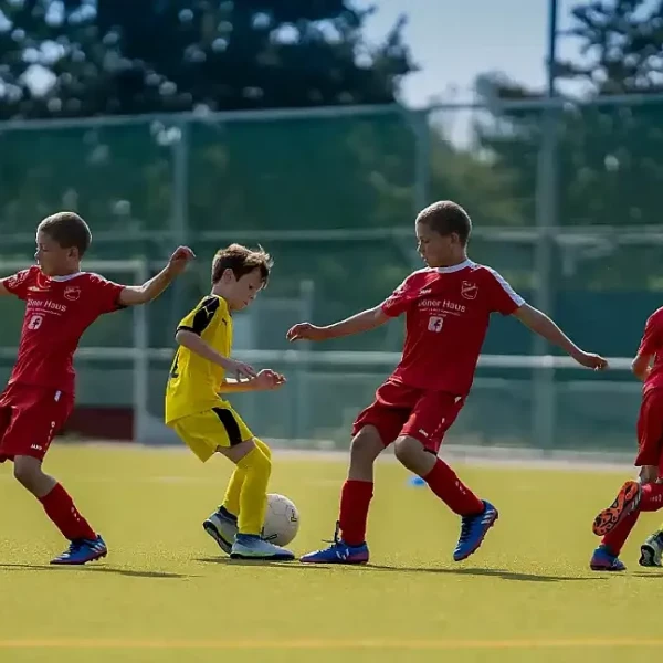 Periodisierung in einer Saison &ndash; die kurze Zeit optimal nutzen