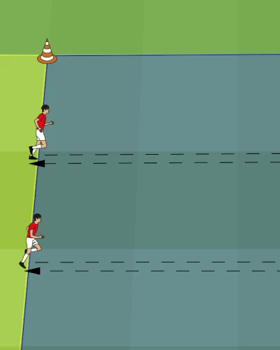 The Yo-Yo Intermittent Recovery Test: A Valuable Performance Test for Modern Team Sports?